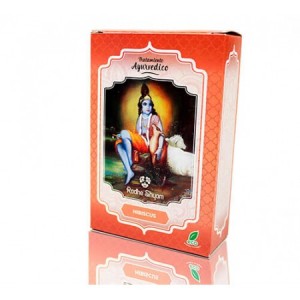 Tratamiento Capilar Hibiscus