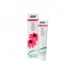 DENTAFORCE ECHINACEA PASTA DE DIENTES