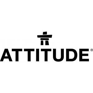 Attitude