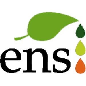 Ens