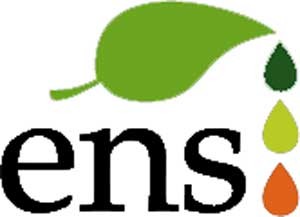 Ens